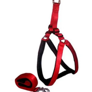 Smarty Pet soft padded body set - leash & harness- L