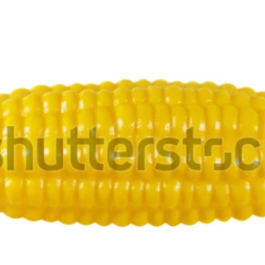 Corn shap Toy
