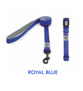 Fully padded Collar & Leash set