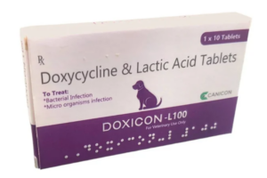Canicon DOXICON-L 100 TABLET 1*10 Strip