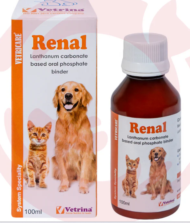 Vetrina Supplements for Cats & Dogs – Vetricare Renal Care (100ml)