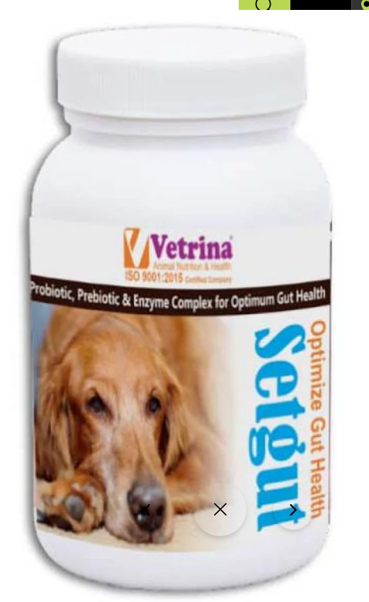 Vetrina Setgut Powder for Dogs and Cats (50g)