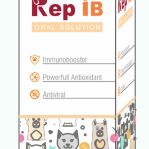REP IB