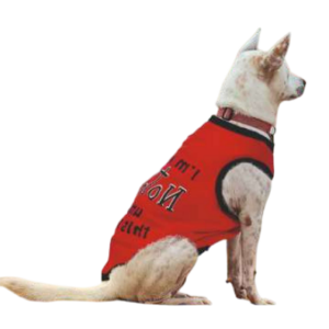 COMFORT WEAR