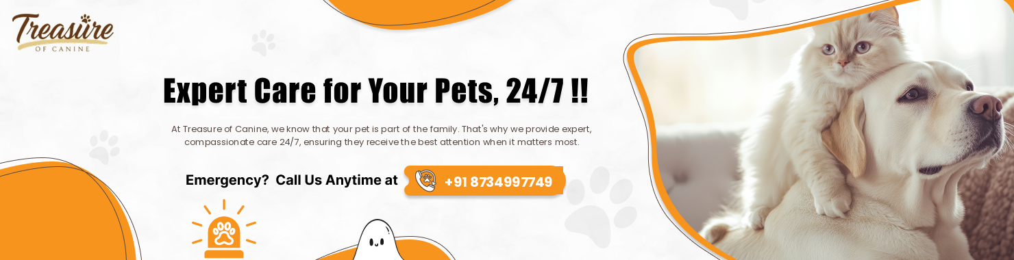 expert-banner