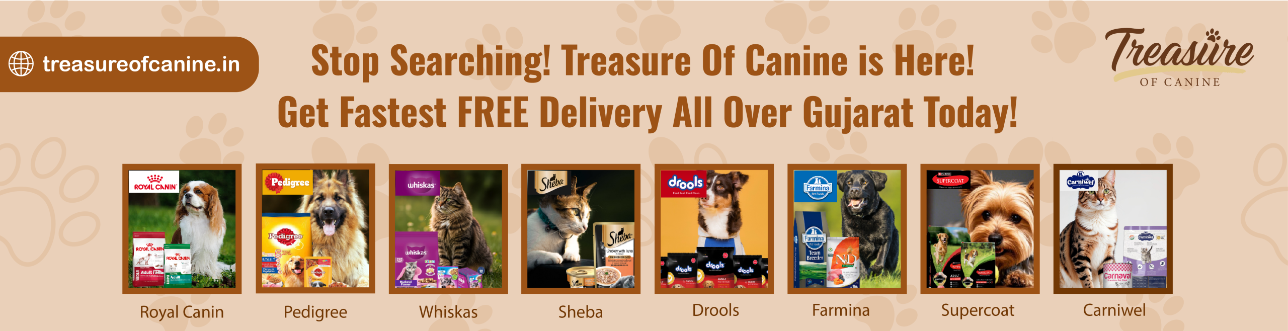 treasure of canine-08