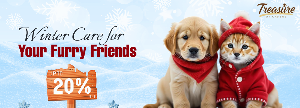 winter-mobile-banner (1)